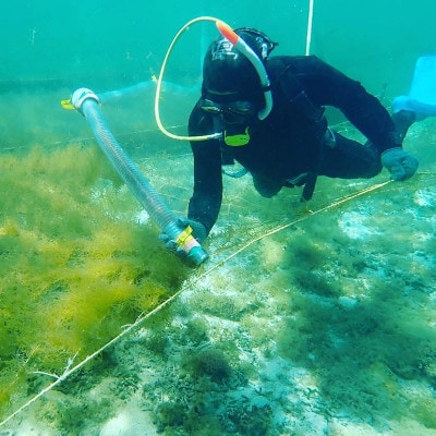 ãåç©«ææéå®!ãå·å çãããã4kg(500g à 8ããã¯)ãé
éäžå¯å°åïŒé¢å³¶ãã1707805ã