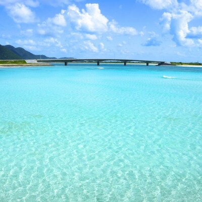 菴ソ縺譁ケ濶イ縲縺ョ螟ゥ辟カ縺ォ縺後j螟ァ繧オ繧、繧コ縲梧オキ縺ョ蟷ク縲10繝ェ繝繝医Ν縲1517036縲