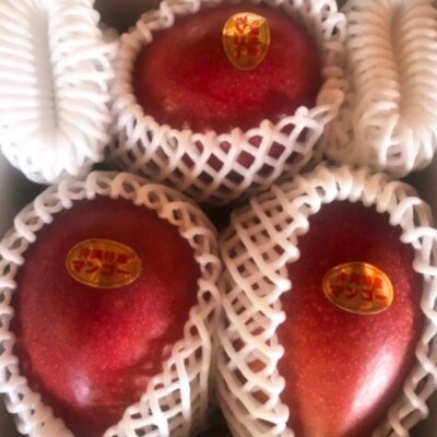 ã2026幎7æé çºéãé¢å³¶ã®æµã¿ãå®çãã³ãŽãŒ1.5kgãé
éäžå¯å°åïŒé¢å³¶ãã1497087ã