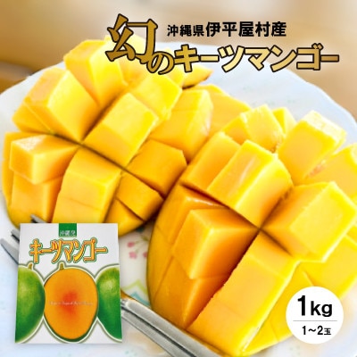伊平屋産の幻のキーツマンゴー約1kg(1〜2玉)【1497062】