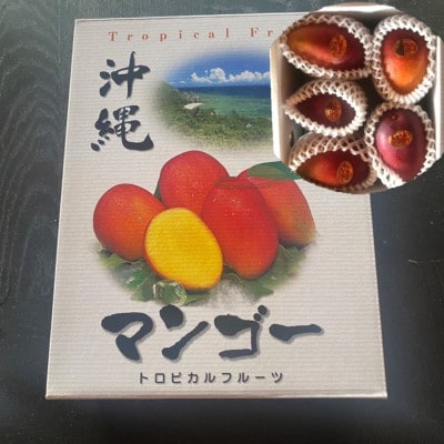 ã2026幎7æé çºéãé¢å³¶ã®æµã¿ãå®çãã³ãŽãŒ2.0kgãé
éäžå¯å°åïŒé¢å³¶ãã1573531ã