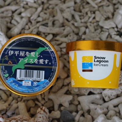 「伊平屋を愛し、アイスを愛す。」130ml×12個 アイスクリーム ジェラート【配送不可地域：離島】【1536375】