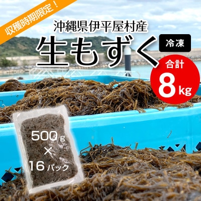 【収穫時期限定!】冷凍 生もずく　8kg(500g × 16パック)【配送不可地域：離島】【1707804】