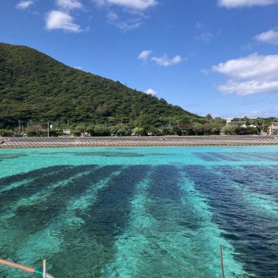 縲先オキ逕」迚ゥ縺阪繧峨d縲第イ也ク逵御シ雁ケウ螻句ウカ逕」縺ョ蜻ウ莉倥b縺壹¥24繝代ャ繧ッ(1陲60gテ3蛟)テ8繝カ縲宣埼∽ク榊庄蝨ー蝓滂シ夐屬蟲カ縲代1713328縲