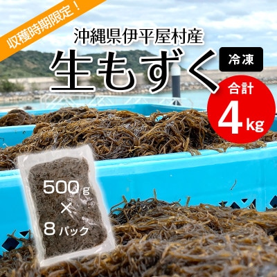 【収穫時期限定!】冷凍 生もずく　4kg(500g × 8パック)【配送不可地域：離島】【1707805】