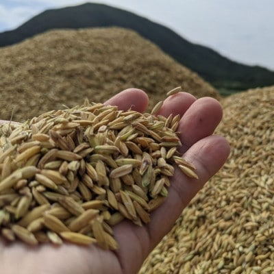 泡盛 てるしの島 25度 720ml 2本【1627777】