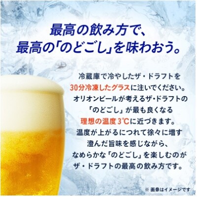 【毎月定期便】オリオンビール ザ・ドラフト(350ml×24缶)全3回【4065350】