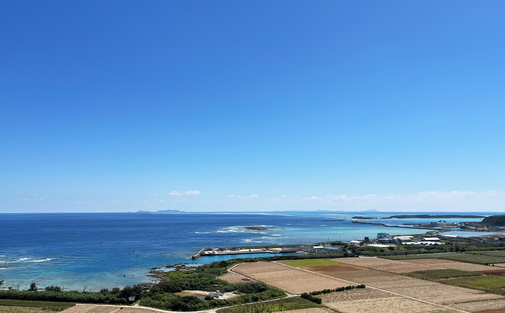 久米島海洋深層水使用！久米島もずくうどん4人前＆もずく1袋入りギフトセット モズク 饂飩 麺 お中元 お歳暮 お取り寄せ お土産 特産品 つるつる もちもち のどごし お子さま 老若男女 ミネラル 食物繊維 アミノ酸 高栄養価 ダイエット 美容 時短