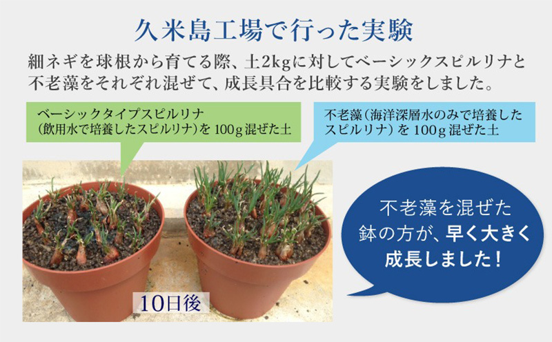 海洋深層水純粋培養スピルリナ100％「不老藻（ふろうそう）」600粒 スーパーフード ビタミン ミネラル サプリ アミノ酸 タンパク質 食生活改善 野菜不足解消 海洋深層水 5大栄養素 栄養補助食品 アルカリ性 ベータカロテン 葉緑素 クロロフィル 消化吸収 炭水化物 脂質 健康管理 栄養補給