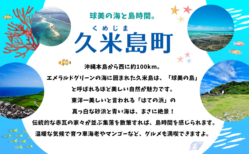 HISふるさと納税クーポン（沖縄県久米島町）15万円分 観光 宿泊 宿泊券 トラベル 旅行 クーポン リゾート ホテル ファミリー ペア ダイビング 沖縄 ビーチ 離島 イーフビーチ はての浜 ウミガメ ホタル 釣り シュノーケル