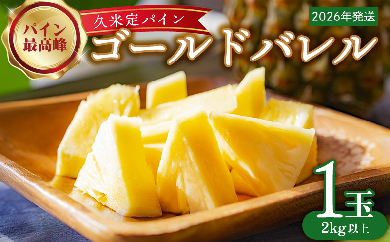 【2026年発送】比屋定農園「久米定パイン」ゴールドバレル 1玉（2kg以上×1玉） パイナップル パイン 高級 最高峰 黄金色 大玉 糖度 濃厚 甘い 希少 樽型 フルーツ 果物 ジュース スムージー ケーキ アイス タルト 沖縄 久米島