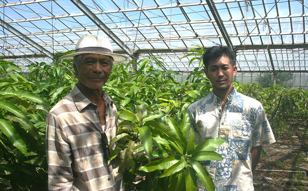 久米島赤鶏牧場 完熟！冷凍ミニマンゴー1kg（9～12玉） アーウィン アップルマンゴー ミニサイズ 小さい 完熟 アイス 濃厚 ねっとり 高糖度 まるごと 甘い 循環型農業 減農薬栽培 芳醇 爽やか 南国フルーツ 南の島 丸かじり スムージー パフェ