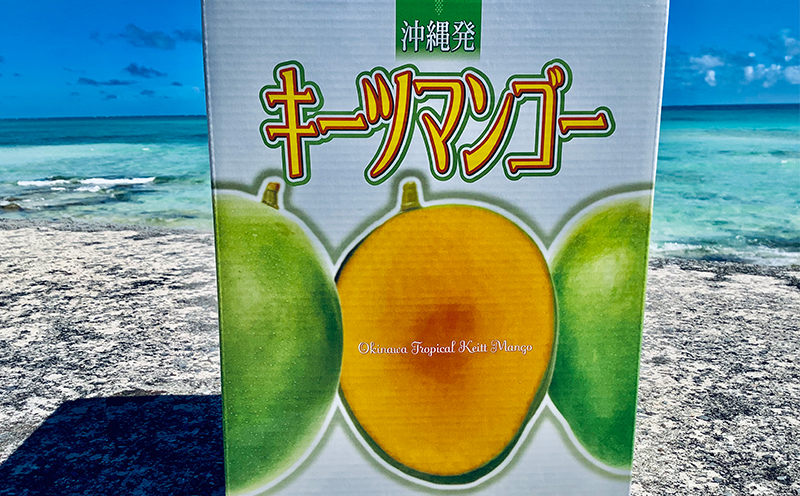 ã2026幎çºéãä¹
米島å°ååº ä¹
米島ç£ããŒããã³ãŽãŒ 900gä»¥äž ãã³ãŽãŒ ããŒã æç© ãã¶ãŒã ãã«ãŒã æ¿å çã å¹»ã®ãã³ãŽãŒ ãšããã飿 éŠã ã¢ã€ã¹ ãšãŒã°ã«ã ãžã£ã ãžã¥ãŒã¹ ã¹ã ãŒãžãŒ ã¹ã€ãŒã èŽãç© ã®ãã æ²çž ä¹
米島