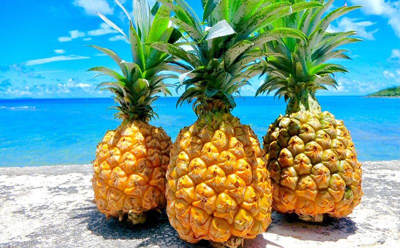 2026幎çºéãå®æäŸ¿ãä¹
米島ç£äººæ°ã®ãã«ãŒããå±ã 幎5åã³ãŒã¹ ååœ ãã«ãŒã æç© ãã³ãŽãŒ ã¢ãŒãŠã£ã³ ããŒã ãã€ãããã« ã¹ããã¯ãã€ã³ Nãã€ã³ ãã¯ã€çš® å³¶ããã ãã¶ãŒã èŽç èŽãç© ãã¬ãŒã³ã äººæ° å®æäŸ¿ å
è¡äºçŽ æ²çž ä¹
米島