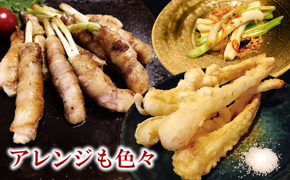 【2026年1月より順次発送】久米島の潮風育ち！島らっきょう 1.8kg 農家直送 国産 新鮮 旬 沖縄 島野菜 鮮度 塩漬け 天ぷら 肉巻き キムチ 漬け物 レシピ アレンジ 人気 おつまみ シャキシャキ 疲労回復 滋養強壮 食物繊維