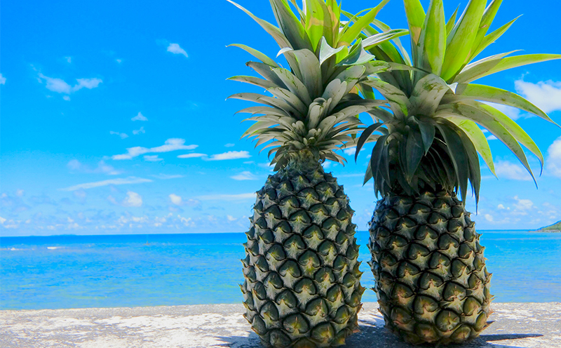 2026幎çºéãå®æäŸ¿ãä¹
米島ç£äººæ°ã®ãã«ãŒããå±ã 幎5åã³ãŒã¹ ååœ ãã«ãŒã æç© ãã³ãŽãŒ ã¢ãŒãŠã£ã³ ããŒã ãã€ãããã« ã¹ããã¯ãã€ã³ Nãã€ã³ ãã¯ã€çš® å³¶ããã ãã¶ãŒã èŽç èŽãç© ãã¬ãŒã³ã äººæ° å®æäŸ¿ å
è¡äºçŽ æ²çž ä¹
米島