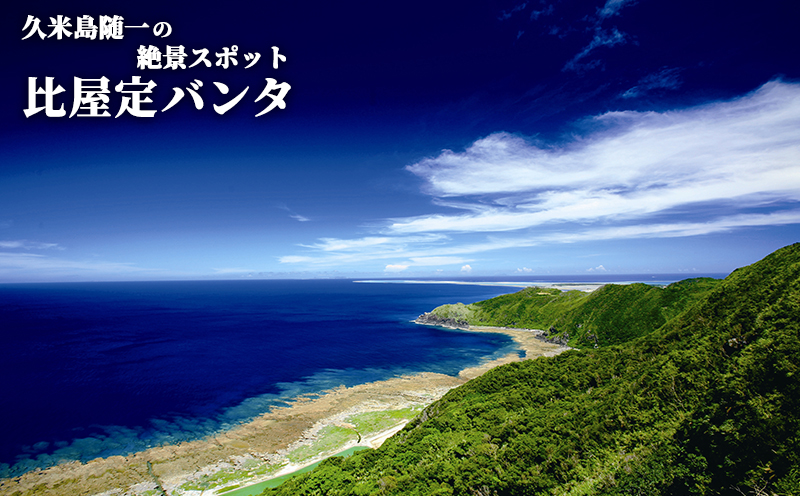 【久米島町】しろくまツアーで利用可能 WEB旅行クーポン(30万円分）