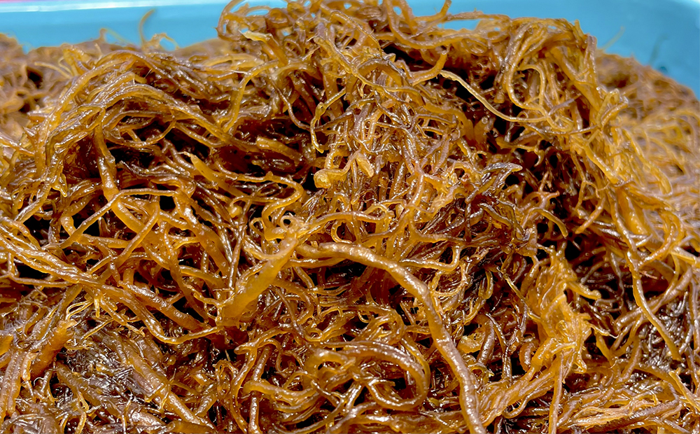 久米島海洋深層水使用！久米島もずくうどん4人前＆もずく1袋入りギフトセット モズク 饂飩 麺 お中元 お歳暮 お取り寄せ お土産 特産品 つるつる もちもち のどごし お子さま 老若男女 ミネラル 食物繊維 アミノ酸 高栄養価 ダイエット 美容 時短