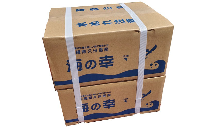 【久米島漁協】お徳用塩蔵養殖もずく10kg モズク 海藻 もずく酢 味噌汁 スープ 天ぷら ざるもずく 釜揚げもずく 食物繊維 フコイダン ビタミン ミネラル アミノ酸 料理 アレンジ レシピ 太もずく 食べ応え 沖縄 収穫