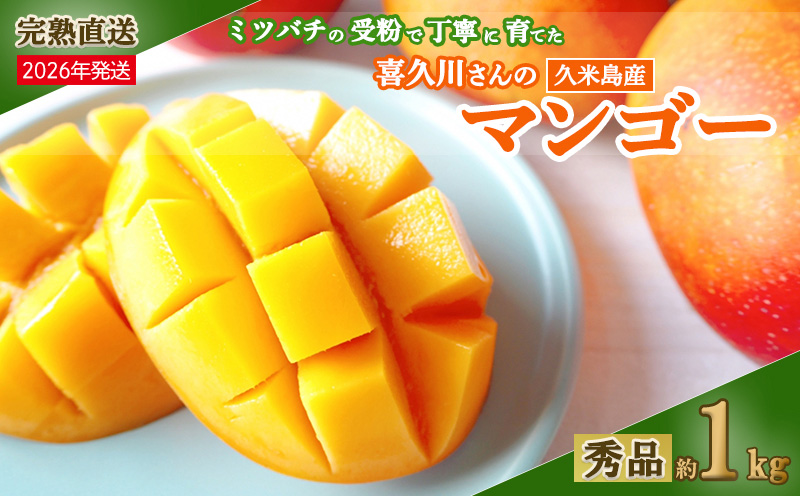 【2026年発送】ミツバチの受粉で育てた喜久川さんの完熟マンゴー 約1kg ◆秀品◆ マンゴー フルーツ 果物 スイーツ 完熟 濃厚 トロける ジューシー ミツバチ 蜂 アップルマンゴー アーウィン 秀品 ギフト 贈り物 糖度 スムージー 南国 沖縄 久米島