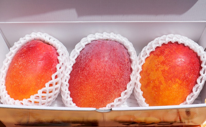 ã2026幎çºéãå®ççŽéïŒæ¬æ°žããã®ä¹
米島ãã³ãŽãŒ çŽ1kg âç§åâ ãã³ãŽãŒ ãã«ãŒã æç© ãã¶ãŒã å®ç ç§å çã ãžã¥ãŒã·ãŒ ã¹ã ãŒãžãŒ ã¢ã€ã¹ ããªã³ ãšãŒã°ã«ã ã±ãŒã èŽãç© èŽç ã®ãã ãäžå
ååœ æ²çž ä¹
米島