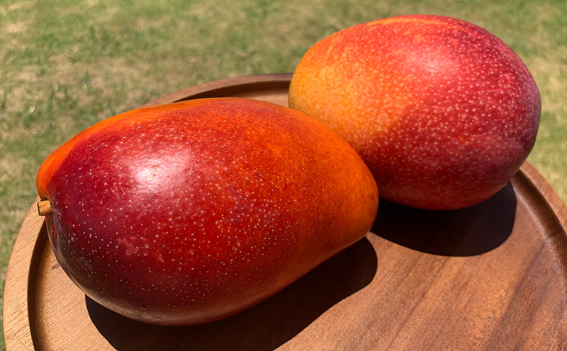 ã2026幎çºéãå®ççŽéïŒæ¬æ°žããã®ä¹
米島ãã³ãŽãŒ çŽ1kg âç§åâ ãã³ãŽãŒ ãã«ãŒã æç© ãã¶ãŒã å®ç ç§å çã ãžã¥ãŒã·ãŒ ã¹ã ãŒãžãŒ ã¢ã€ã¹ ããªã³ ãšãŒã°ã«ã ã±ãŒã èŽãç© èŽç ã®ãã ãäžå
ååœ æ²çž ä¹
米島