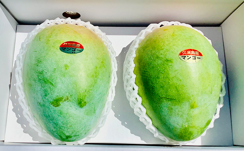 ã2026幎çºéãä¹
米島å°ååº ä¹
米島ç£ããŒããã³ãŽãŒ 1.8kgä»¥äž ãã³ãŽãŒ ããŒã æç© ãã¶ãŒã ãã«ãŒã æ¿å çã å¹»ã®ãã³ãŽãŒ ãšããã飿 éŠã ã¢ã€ã¹ ãšãŒã°ã«ã ãžã£ã ãžã¥ãŒã¹ ã¹ã ãŒãžãŒ ã¹ã€ãŒã èŽãç© ã®ãã æ²çž ä¹
米島