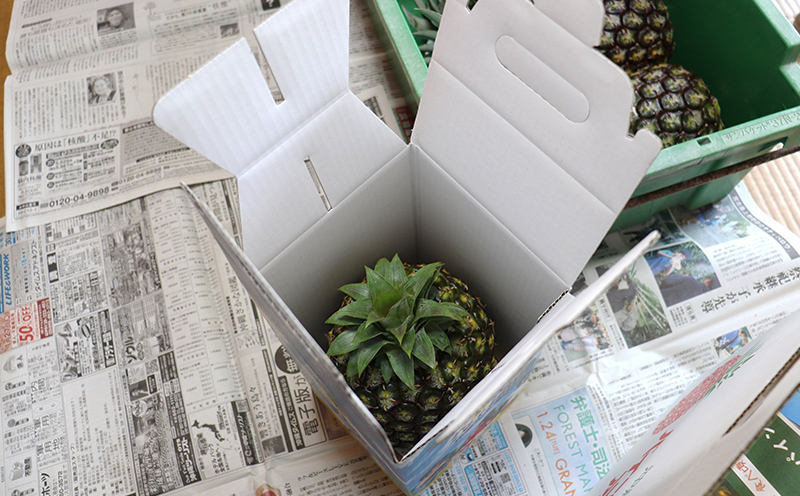 【2026年発送】比屋定農園「久米定パイン」ゴールドバレル 1玉（2kg以上×1玉） パイナップル パイン 高級 最高峰 黄金色 大玉 糖度 濃厚 甘い 希少 樽型 フルーツ 果物 ジュース スムージー ケーキ アイス タルト 沖縄 久米島