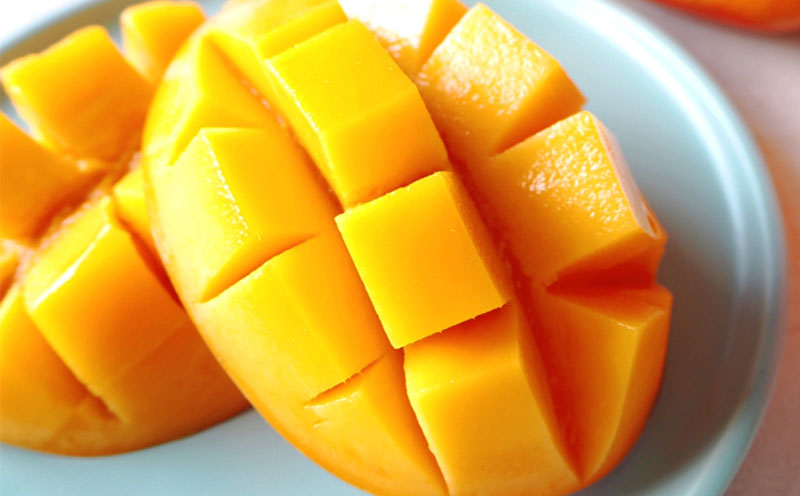 【2026年発送】ミツバチの受粉で育てた喜久川さんの完熟マンゴー 約1kg ◆秀品◆ マンゴー フルーツ 果物 スイーツ 完熟 濃厚 トロける ジューシー ミツバチ 蜂 アップルマンゴー アーウィン 秀品 ギフト 贈り物 糖度 スムージー 南国 沖縄 久米島