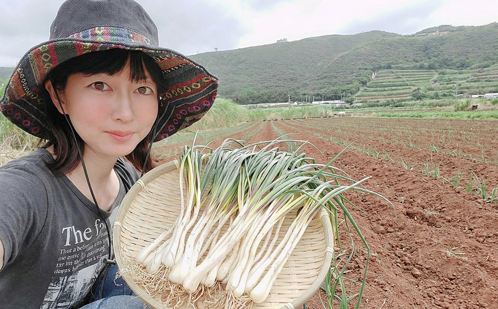 【2026年1月より順次発送】久米島の潮風育ち！島らっきょう 1.8kg 農家直送 国産 新鮮 旬 沖縄 島野菜 鮮度 塩漬け 天ぷら 肉巻き キムチ 漬け物 レシピ アレンジ 人気 おつまみ シャキシャキ 疲労回復 滋養強壮 食物繊維