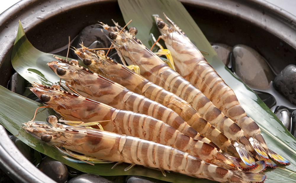 【久ー韓】韓国本場味！車海老の醤油漬け「カンジャンセウ」1パック 絶品 ご飯泥棒 韓国 ソウルフード 醬油 にんにく ネギ 唐辛子 エビ お取り寄せ ギフト 新鮮 プリプリ 自家製 やみつき つまみ 漬物 沖縄 久米島 韓流