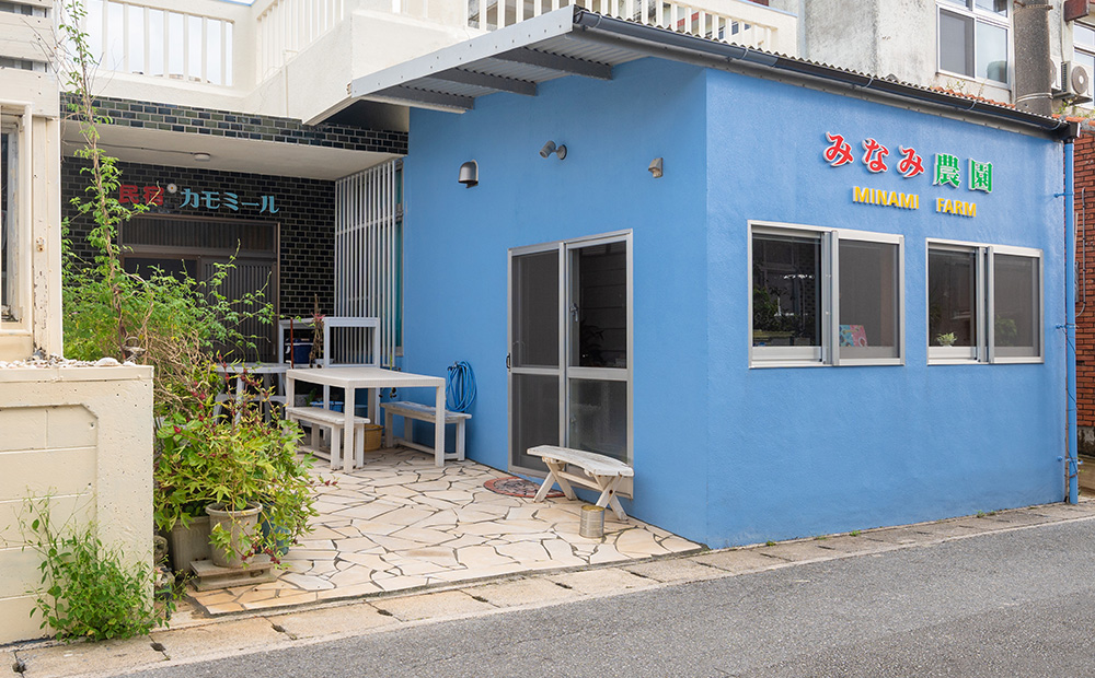 久米島産 天然バタフライピーティー「Blue Tea」25包 ハーブティー バタフライピー 青いお茶 ブルーティー 色が変わるお茶 ノンカフェイン カフェインレス 島ハーブ リラックス 美容 健康 アントシアニン おもてなし 色の変化 ギフト プレゼント 青色 紫色 国産 沖縄