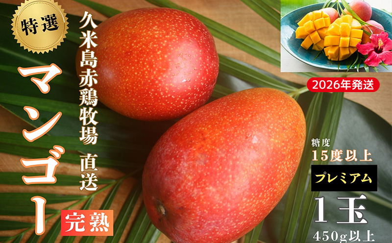 【2026年発送】久米島赤鶏牧場 直送！糖度15度以上「プレミアム」完熟マンゴー 1玉（450g以上） マンゴー 完熟 アップルマンゴー アーウィン 糖度15度 特選品 プレミアム 贈答 贈り物 甘い 濃厚 循環型農業 減農薬栽培 芳醇 爽やか 南国フルーツ ギフト 沖縄 久米島 南の島