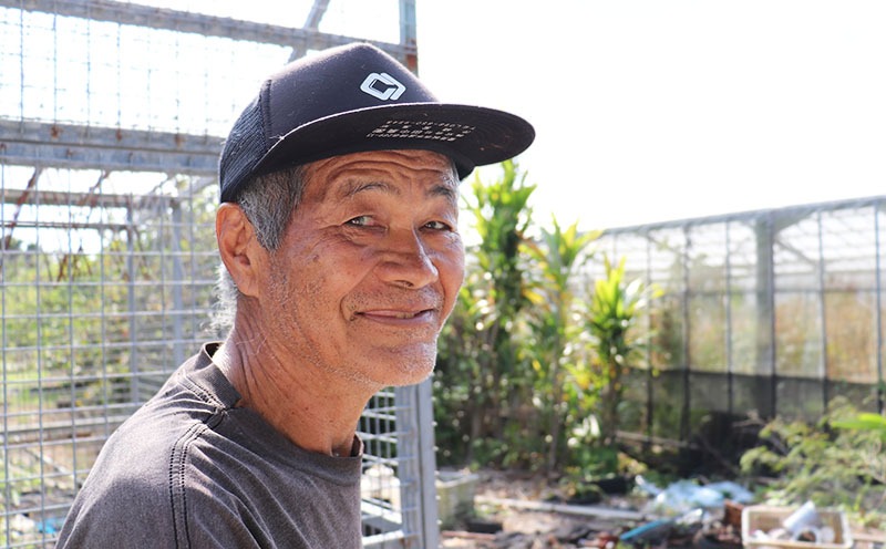 ã2026幎çºéãå®ççŽéïŒæ¬æ°žããã®ä¹
米島ãã³ãŽãŒ çŽ1kg âç§åâ ãã³ãŽãŒ ãã«ãŒã æç© ãã¶ãŒã å®ç ç§å çã ãžã¥ãŒã·ãŒ ã¹ã ãŒãžãŒ ã¢ã€ã¹ ããªã³ ãšãŒã°ã«ã ã±ãŒã èŽãç© èŽç ã®ãã ãäžå
ååœ æ²çž ä¹
米島