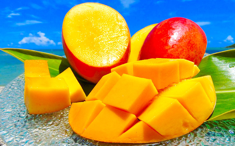 2026幎çºéãå®æäŸ¿ãä¹
米島ç£äººæ°ã®ãã«ãŒããå±ã 幎5åã³ãŒã¹ ååœ ãã«ãŒã æç© ãã³ãŽãŒ ã¢ãŒãŠã£ã³ ããŒã ãã€ãããã« ã¹ããã¯ãã€ã³ Nãã€ã³ ãã¯ã€çš® å³¶ããã ãã¶ãŒã èŽç èŽãç© ãã¬ãŒã³ã äººæ° å®æäŸ¿ å
è¡äºçŽ æ²çž ä¹
米島