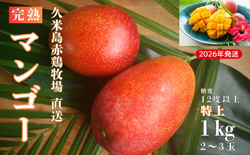 【2026年発送】久米島赤鶏牧場 直送！糖度12度以上「特上」完熟マンゴー 約1kg（2～3玉） マンゴー 完熟 アップルマンゴー アーウィン 甘い 濃厚 循環型農業 減農薬栽培 牧場 養鶏 和牛 久米島の久米仙 酒粕 月桃 ウコン 芳醇 爽やか 南国フルーツ ギフト 久米島