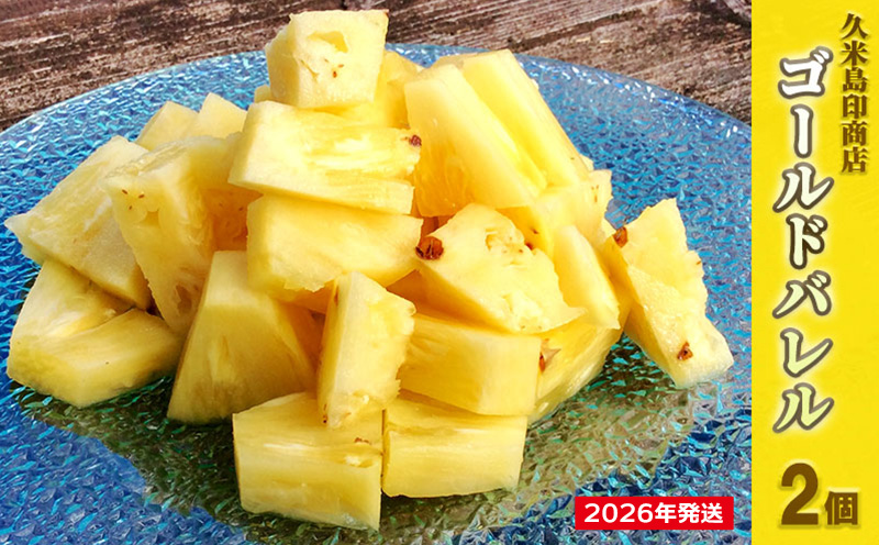 【2026年発送】久米島印商店「ゴールドバレル」黄金パイナップル2個（1.3kg以上×2個） パイナップル パイン ゴールドバレル 最高級 黄金 樽 甘い ジューシー まろやか ギフト 贈り物 ジュース アイス スムージー フルーツ デザート 果物 南国 沖縄 久米島