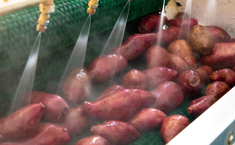 ãŸãã§çã®ãã§ã³ïŒæ²çžä¹
米島çãŸããçºé
µå¹²ãçŽ
èã6åå
¥ãÃ6è¢ã»ãã çŽ
ãã ãè ã€ã¢ å¹²ãè æ²å€¢çŽ« çºé
µ é
µçŽ ã§ãã·ã é«ç³åºŠ ç³åºŠ60åºŠä»¥äž çæ æšå³åçž® ã¢ã³ãã·ã¢ãã³ åœç£ çã ã¹ã€ãŒã ãã〠æ 逿ºç¹ ãã€ãšãã å°åã