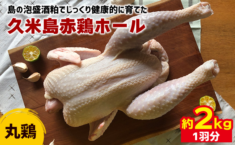 島の泡盛酒粕でじっくり健康的に育てた 久米島赤鶏ホール(丸鶏) 2kg(1羽分) 鶏肉 チキン 安心安全 ぷりっぷり ジューシー 肉汁 弾力 肉質 フランス原産 レッドブロ― ローストチキン サムゲタン 参鶏湯 ダッチオーブン 丸ごと調理 キャンプ クリスマス ホームパーティー ダッチオーブン ファミリー