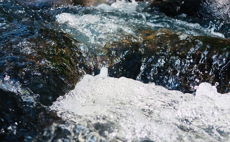 ã米島é
é ããæ²å鿥 40床ããHYOKA 40床ã500mlÃå1æ¬ æ³¡ç èžçé
çŒé
ã¢ã«ã³ãŒã« é
é
é ã å°èŠæš¡çç£ çºé
µ é
µæ¯ ç±³ é»éº¹ 米麹 ããã¿ çæ ãã¬ã³ã é
é ã æé ã é£²ã¿æ¯ã¹ ã»ãã ä¹
米島