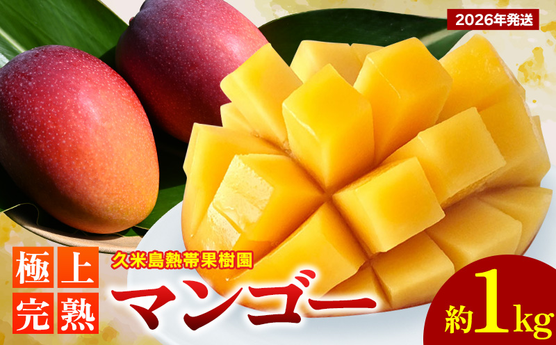 【2026年発送】久米島熱帯果樹園 極上完熟マンゴー 約1kg（2～3玉） アーウィン アップルマンゴー マンゴー トロピカル フルーツ 果物 南国 沖縄 久米島 ふるさと納税 農園直送 甘い ジューシー 濃厚 完熟 糖度が高い とろける 特選品 ジュース スムージー