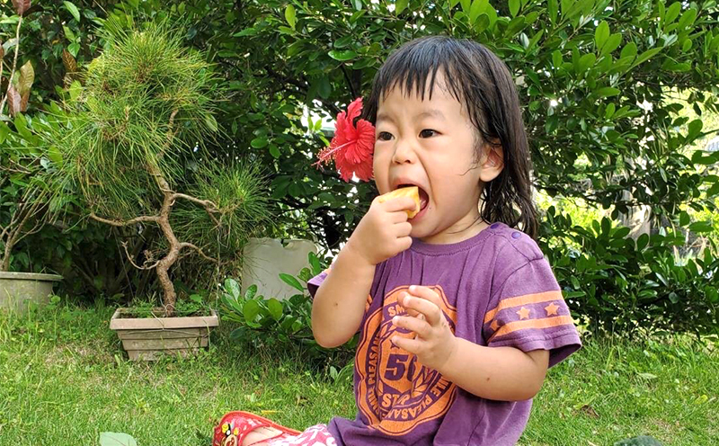 ã2026幎çºéãæ¯å±å®èŸ²åãä¹
ç±³å®ãã€ã³ããŽãŒã«ããã¬ã« 2çïŒ4kg以äžïŒ ãã€ãããã« ãã€ã³ é«çŽ æé«å³° é»éè² å€§ç ç³åºŠ æ¿å çã åžå° æšœå ãã«ãŒã æç© ãžã¥ãŒã¹ ã¹ã ãŒãžãŒ ã±ãŒã ã¢ã€ã¹ ã¿ã«ã æ²çž ä¹
米島