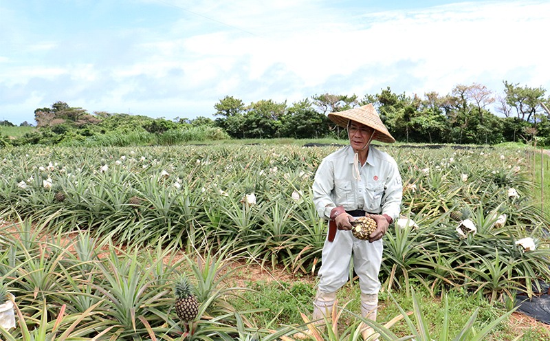 ã2026幎çºéãæ¯å±å®èŸ²åãä¹
ç±³å®ãã€ã³ããŽãŒã«ããã¬ã« 2çïŒ4kg以äžïŒ ãã€ãããã« ãã€ã³ é«çŽ æé«å³° é»éè² å€§ç ç³åºŠ æ¿å çã åžå° æšœå ãã«ãŒã æç© ãžã¥ãŒã¹ ã¹ã ãŒãžãŒ ã±ãŒã ã¢ã€ã¹ ã¿ã«ã æ²çž ä¹
米島