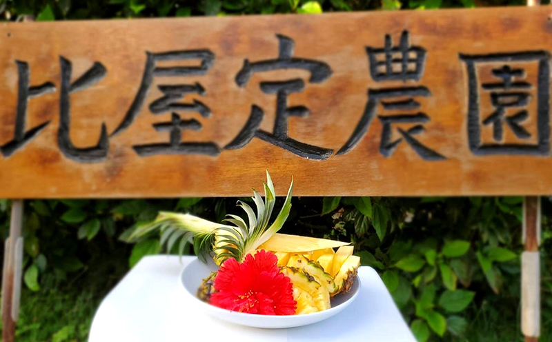 ã2026幎çºéãæ¯å±å®èŸ²åãä¹
ç±³å®ãã€ã³ããŽãŒã«ããã¬ã« 2çïŒ4kg以äžïŒ ãã€ãããã« ãã€ã³ é«çŽ æé«å³° é»éè² å€§ç ç³åºŠ æ¿å çã åžå° æšœå ãã«ãŒã æç© ãžã¥ãŒã¹ ã¹ã ãŒãžãŒ ã±ãŒã ã¢ã€ã¹ ã¿ã«ã æ²çž ä¹
米島