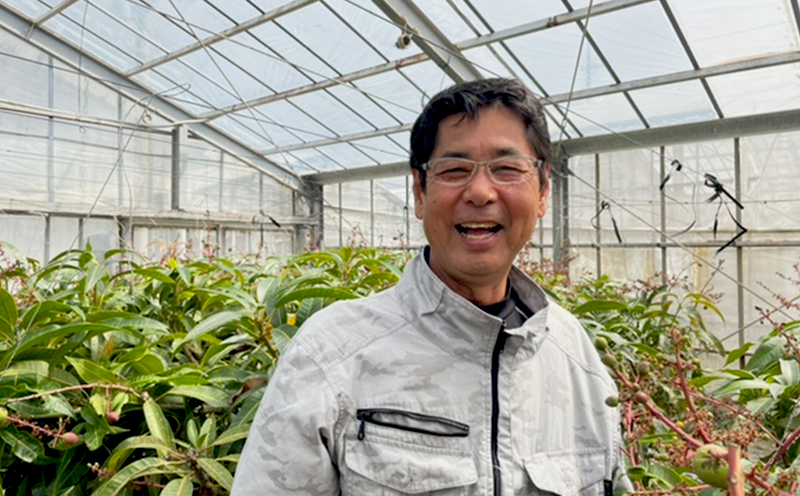 【2026年発送】ミツバチの受粉で育てた喜久川さんの完熟マンゴー 約1kg ◆秀品◆ マンゴー フルーツ 果物 スイーツ 完熟 濃厚 トロける ジューシー ミツバチ 蜂 アップルマンゴー アーウィン 秀品 ギフト 贈り物 糖度 スムージー 南国 沖縄 久米島