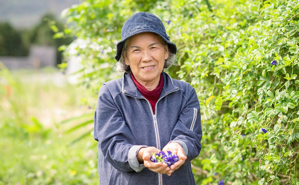 久米島産 天然バタフライピーティー「Blue Tea」40包 ハーブティー バタフライピー 青いお茶 ブルーティー 色が変わるお茶 ノンカフェイン カフェインレス 島ハーブ リラックス 美容 健康 アントシアニン おもてなし 色の変化 ギフト プレゼント 青色 国産 沖縄 久米島