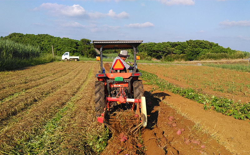 ãŸãã§çã®ãã§ã³ïŒæ²çžä¹
米島çãŸããçºé
µå¹²ãçŽ
èã6åå
¥ãÃ6è¢ã»ãã çŽ
ãã ãè ã€ã¢ å¹²ãè æ²å€¢çŽ« çºé
µ é
µçŽ ã§ãã·ã é«ç³åºŠ ç³åºŠ60åºŠä»¥äž çæ æšå³åçž® ã¢ã³ãã·ã¢ãã³ åœç£ çã ã¹ã€ãŒã ãã〠æ 逿ºç¹ ãã€ãšãã å°åã