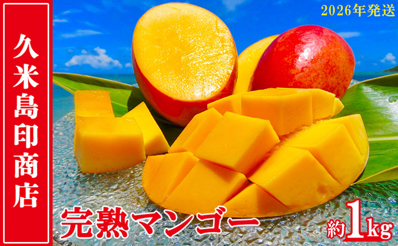 【2026年発送】久米島印商店 完熟マンゴー 約1kg マンゴー フルーツ 果物 デザート 完熟 甘い 濃厚 スムージー アイス プリン ヨーグルト ケーキ 贈り物 贈答 ギフト 人気 リピーター 南国 沖縄 久米島