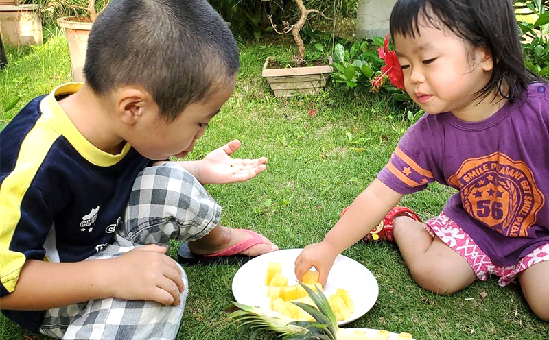 【2026年発送】比屋定農園「久米定パイン」ゴールドバレル 1玉（2kg以上×1玉） パイナップル パイン 高級 最高峰 黄金色 大玉 糖度 濃厚 甘い 希少 樽型 フルーツ 果物 ジュース スムージー ケーキ アイス タルト 沖縄 久米島