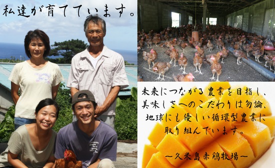 島の泡盛酒粕でじっくり健康的に育てた 久米島赤鶏(解体)＆ぶつ切り4kgセット